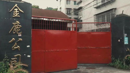 溫州一工廠涉嫌生產偽劣酒品被查封，負責人被控制