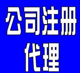 巴迪商務(wù)服務(wù) 武漢個(gè)體工商執(zhí)照代理代辦與軟件支持